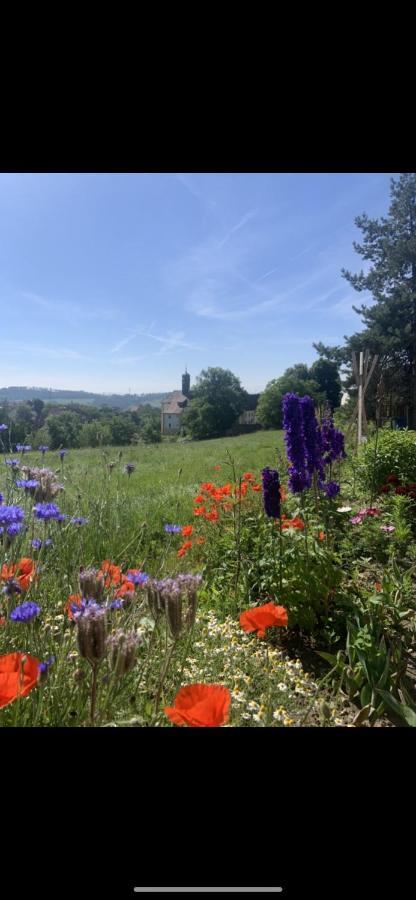 אולינגן בירקנדורף Ferienwohnung Klosterblick מראה חיצוני תמונה